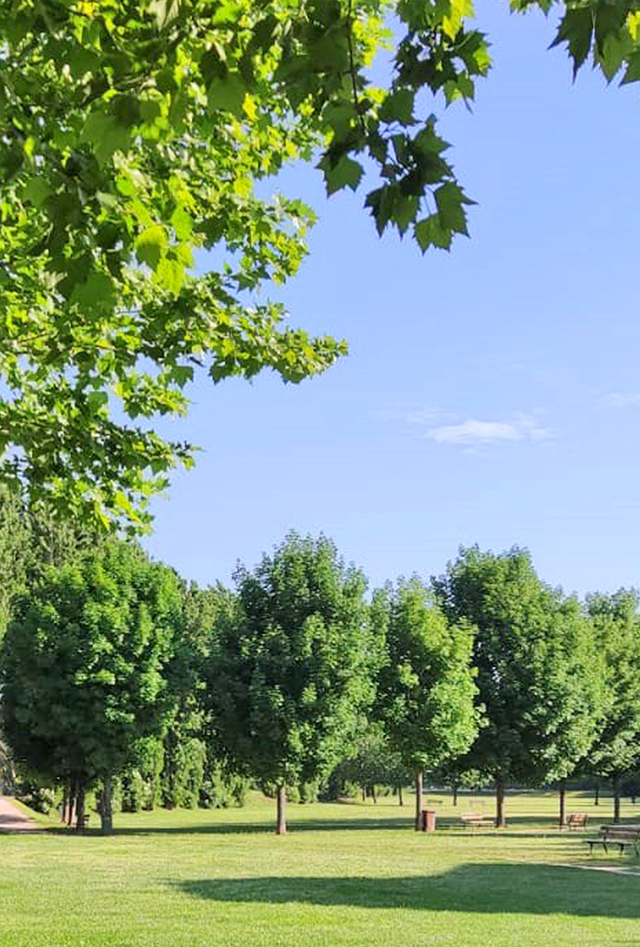 vista del Parco Desenzani dal K.des